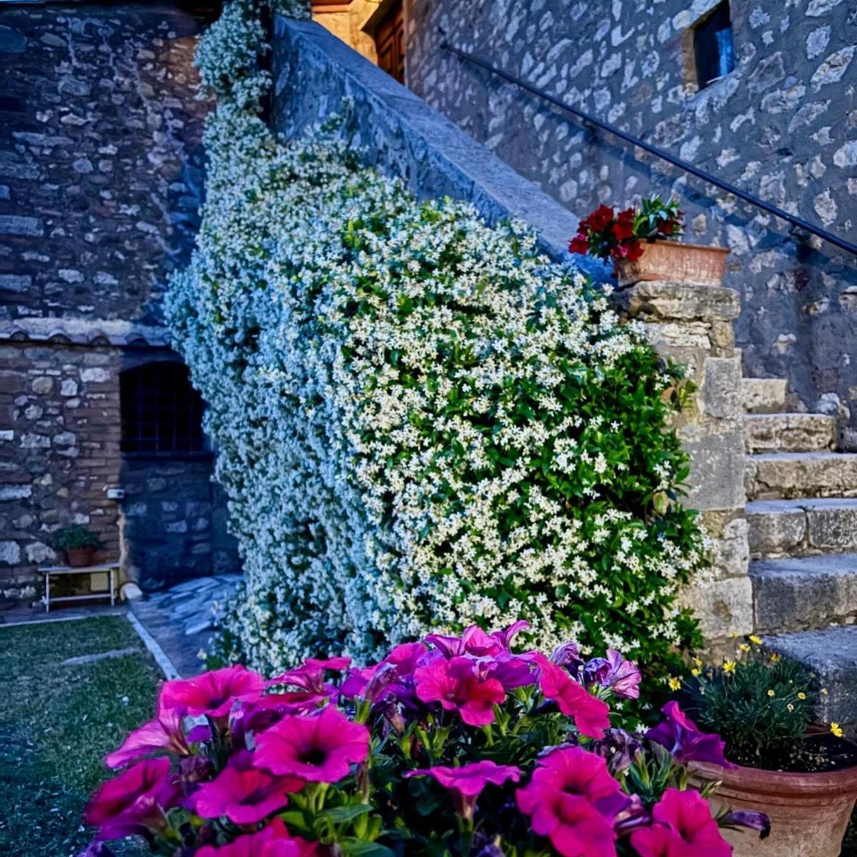 Residenza Santa Maria In Borraccia Bed & Breakfast Magliano in Toscana Ngoại thất bức ảnh